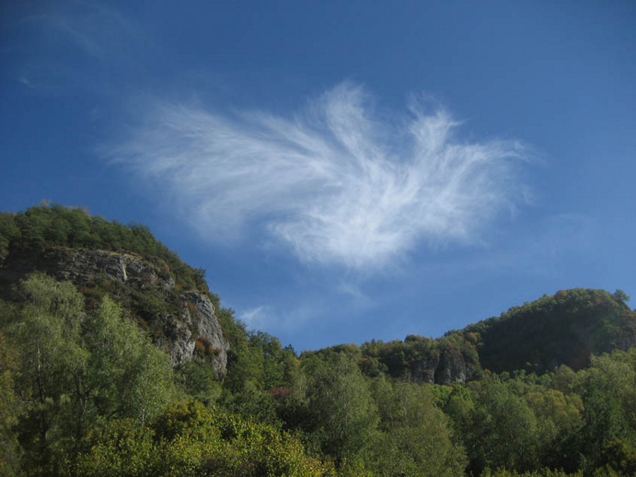 Dragon sylph Spanish Pyrenees