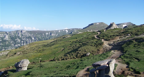 The area above the artificial cave