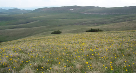 Bucegi Mountains view